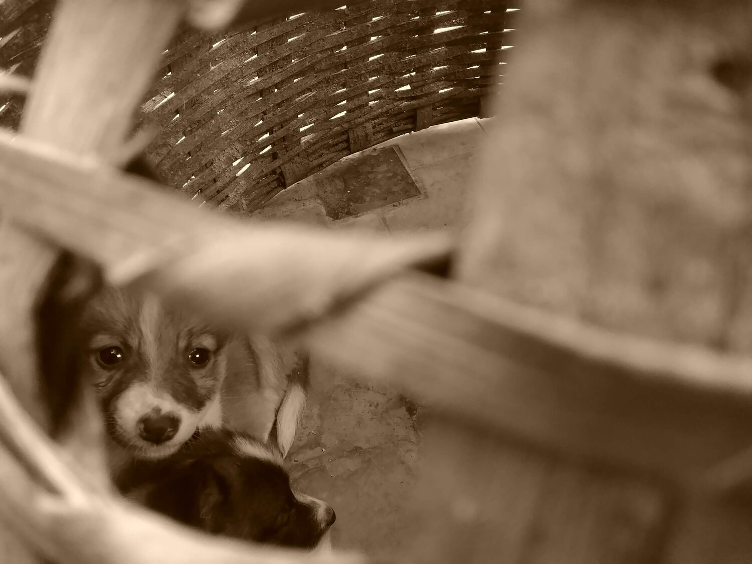 Photo #8806341