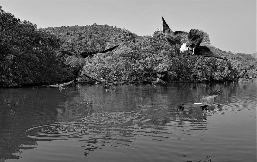 Фотография автора Максим Грибанов