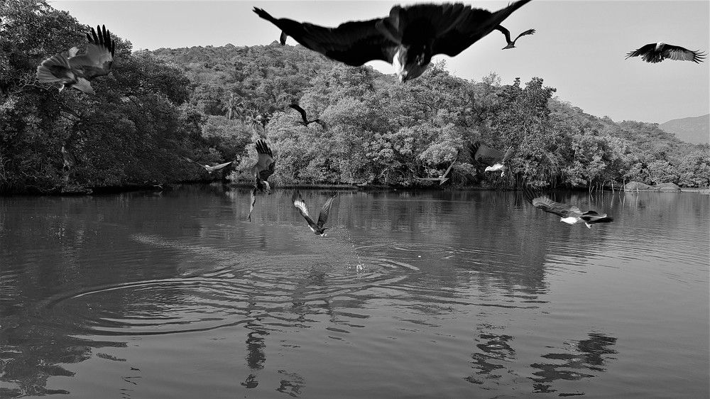 Фотография автора Максим Грибанов