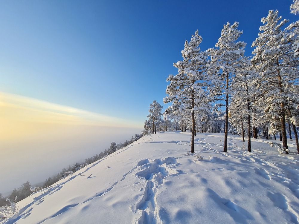 Снежный ангел