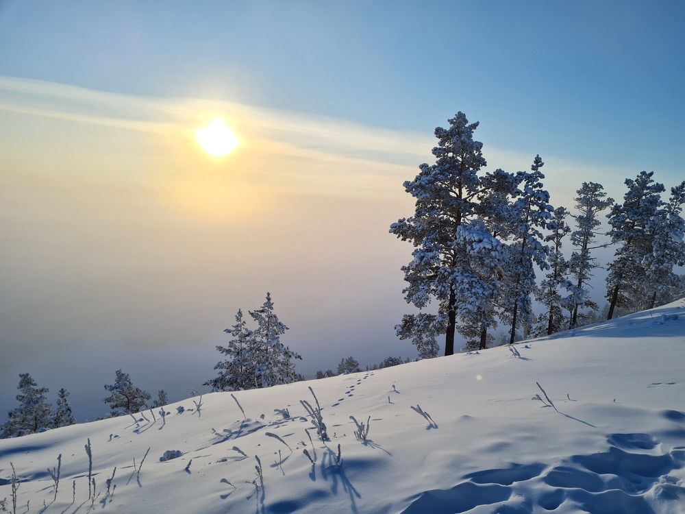 Белое безмолвие