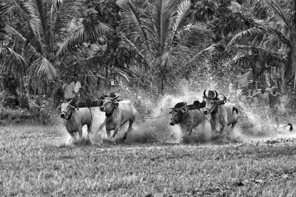 Photograph by Joy Karmakar