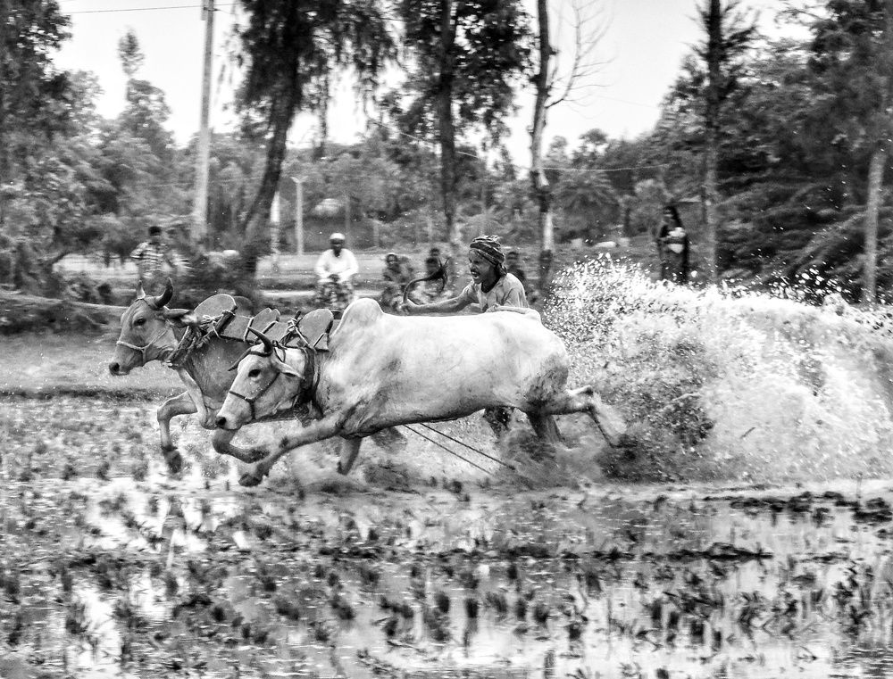 Photograph by Joy Karmakar