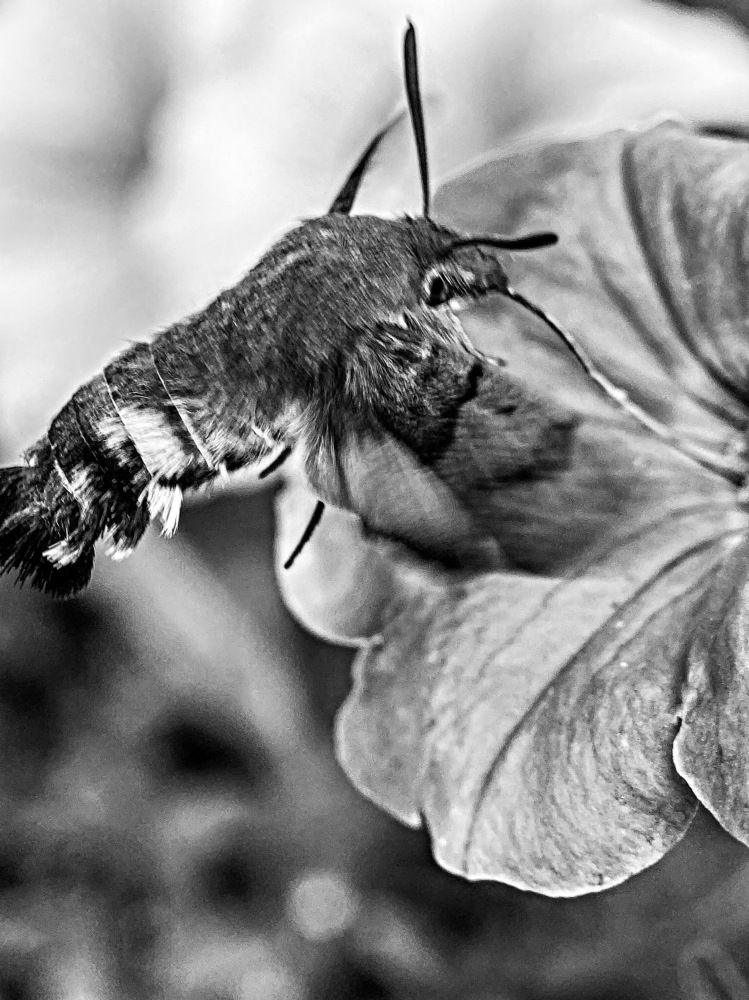 Photograph by Александра Гонтарь