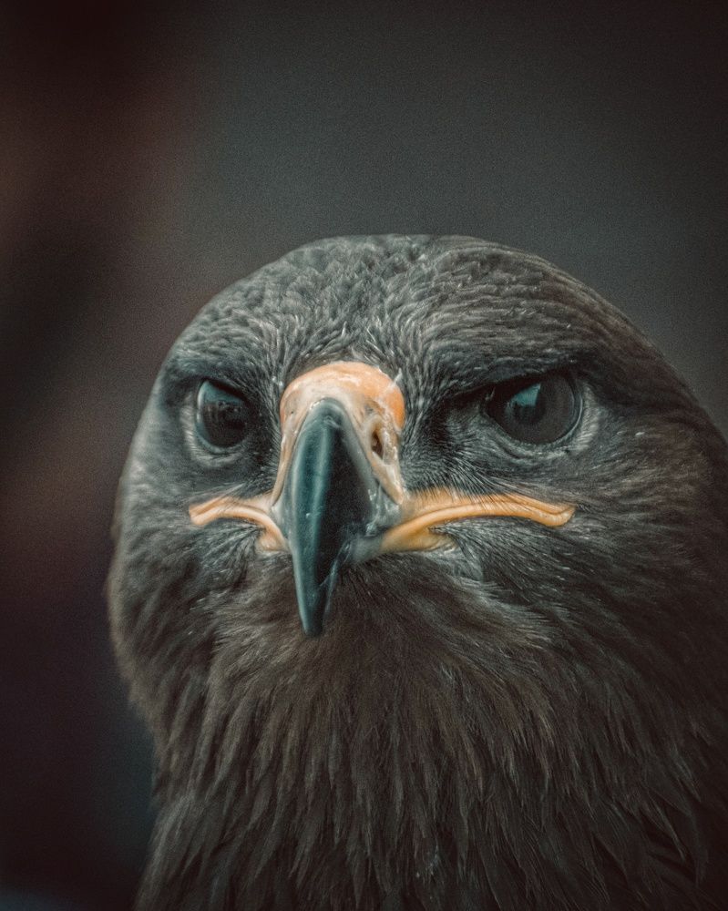 Photograph by Abdul Jabbar