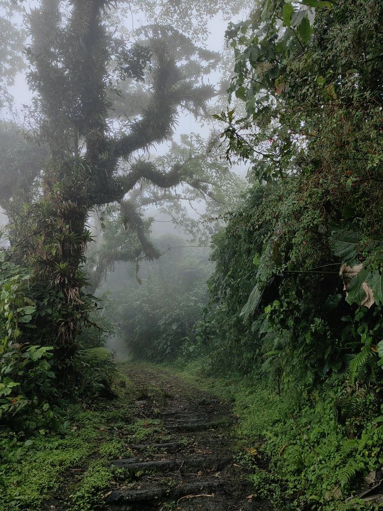 Photograph by Virginia Azocar