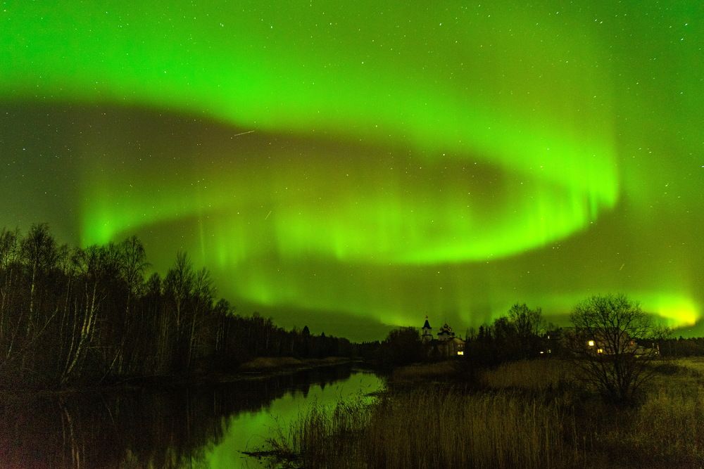 Зеленая феерия