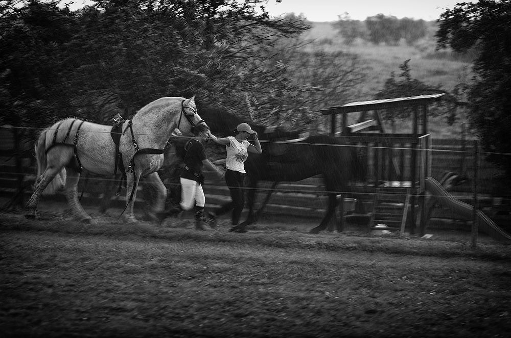 Photograph by Дмитрий Воробьёв