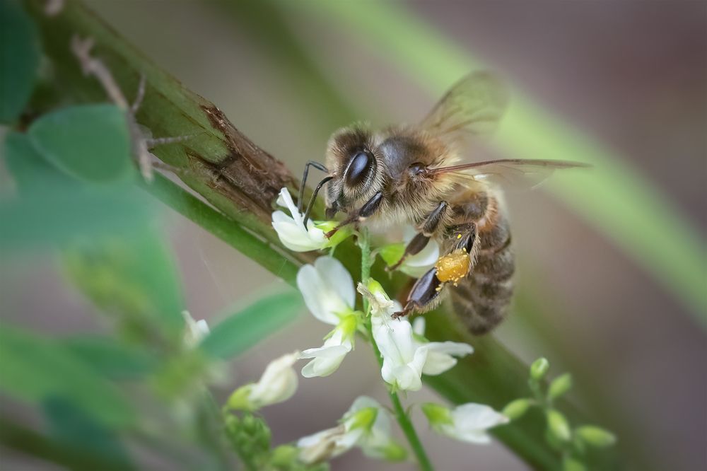 Photograph by Хилько Марина