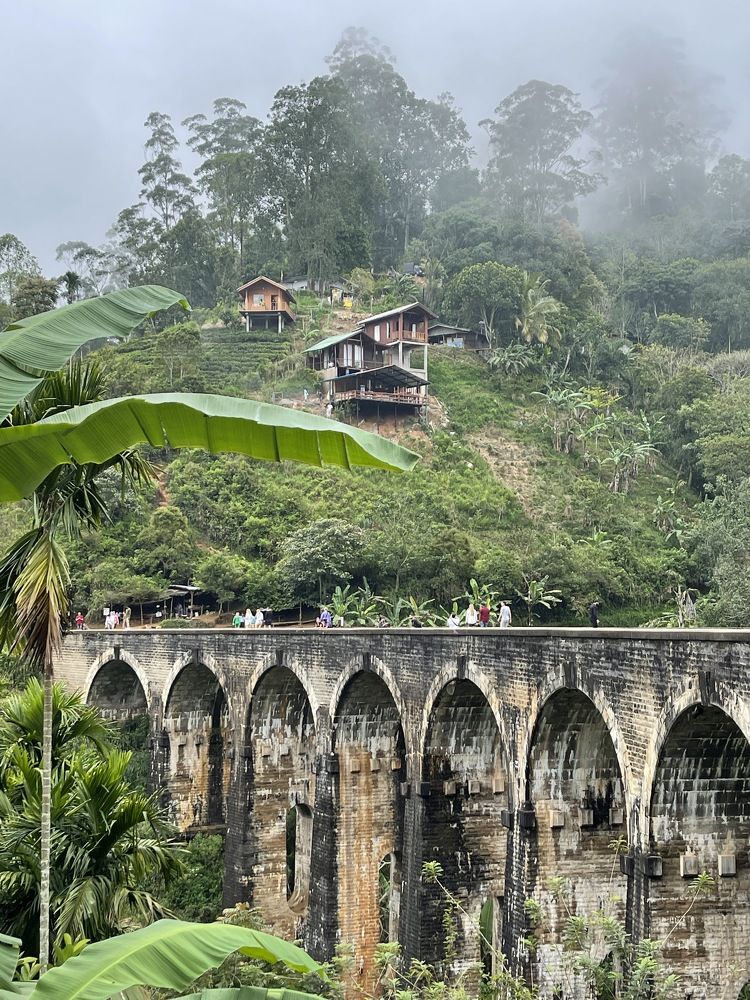 Photograph by Ольга Тимофеева