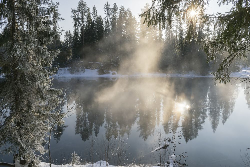 Фотография автора Галина Луценко