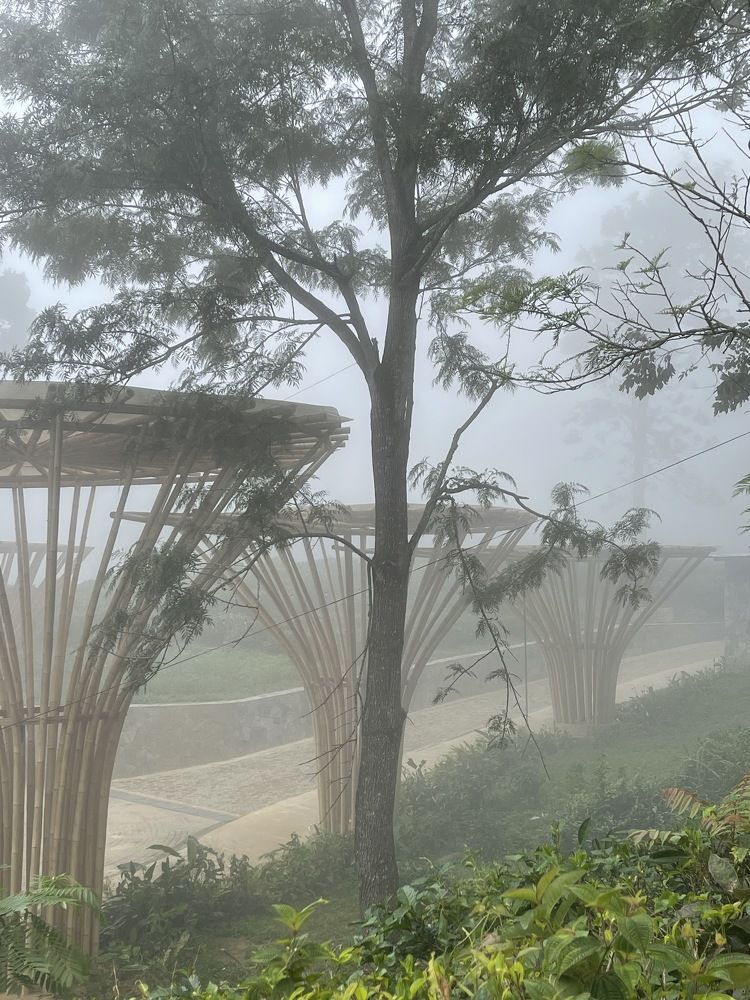 Photograph by Ольга Тимофеева