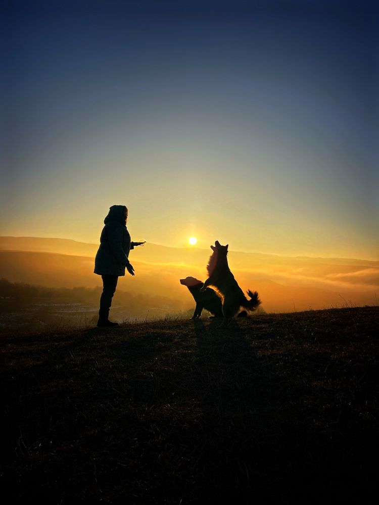 Photograph by Артём Мелетов