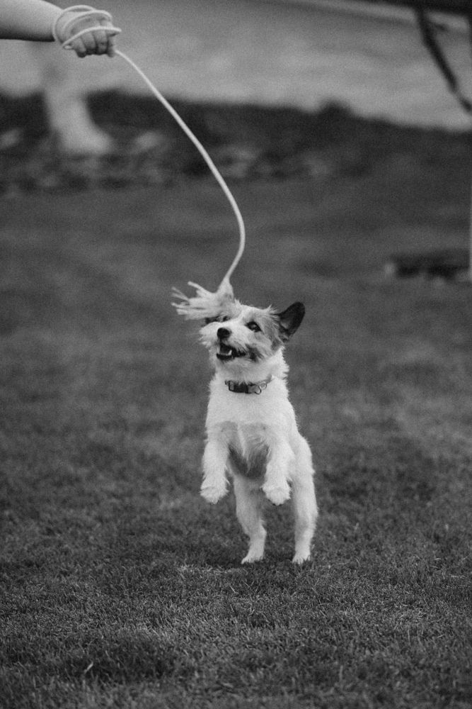 Photograph by Ольга Рачилова