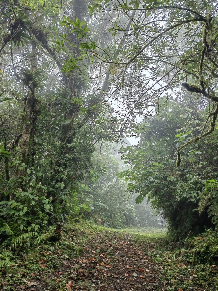 Photograph by Virginia Azocar