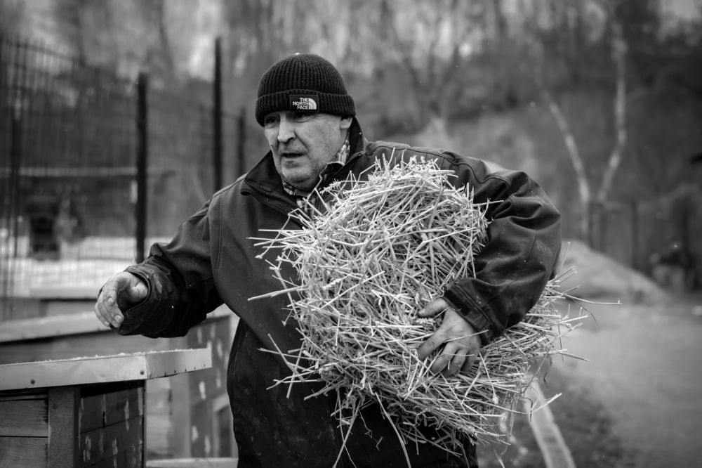 Photograph by Ivan Mandic