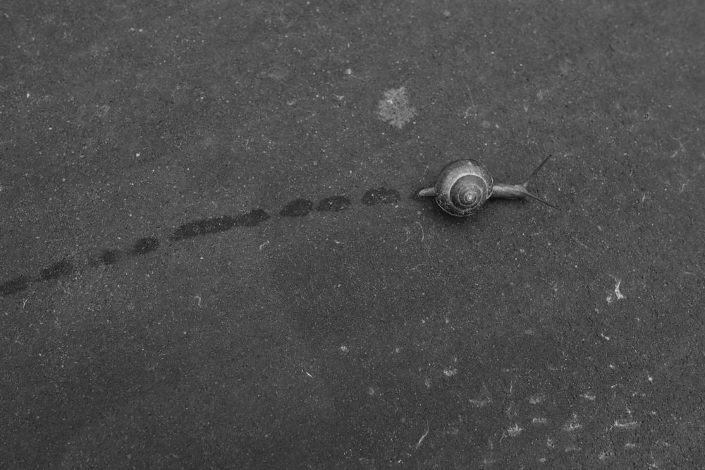 Photograph by Алина Абрамова