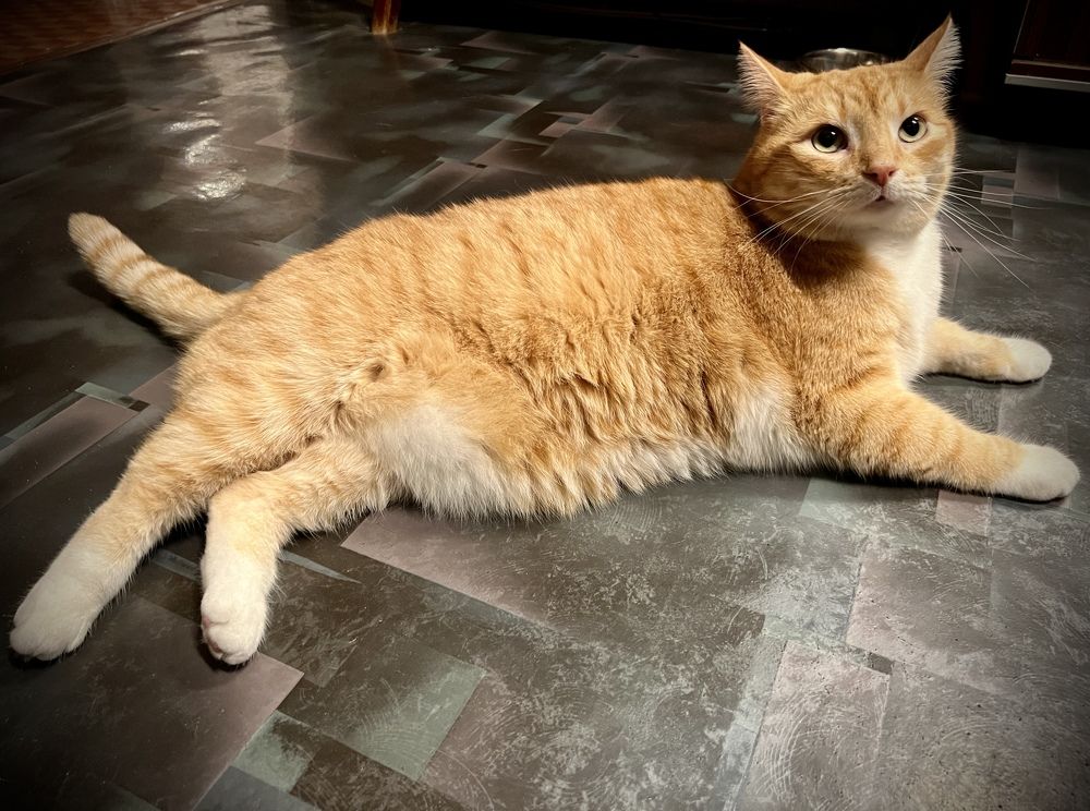 Photograph by Анна Лепихина