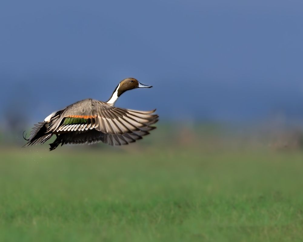 Photograph by ASHWINI BHONGE