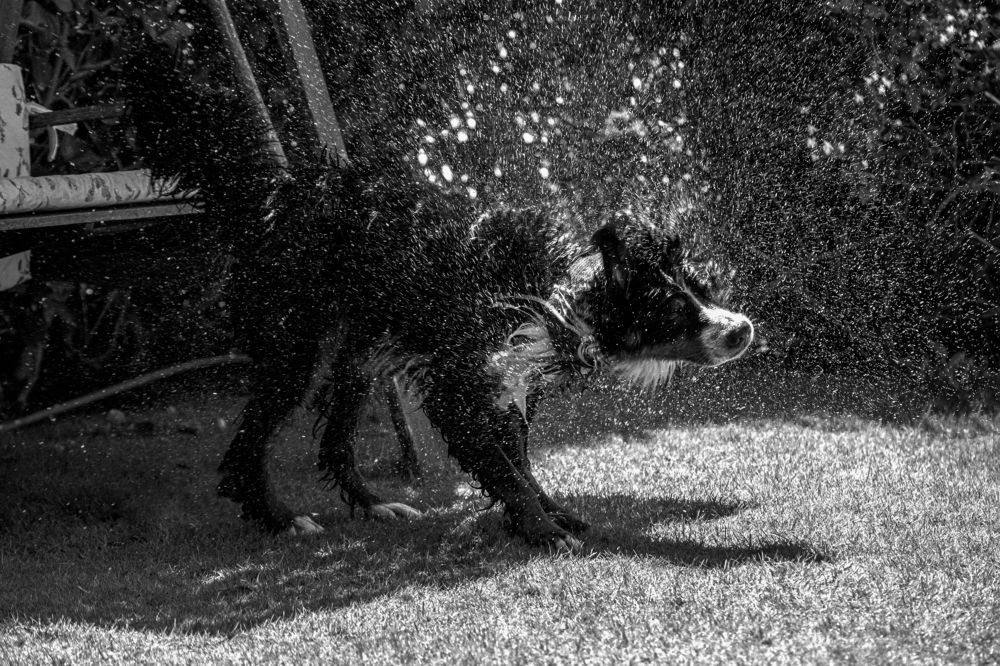 Photograph by Moataz Helmy