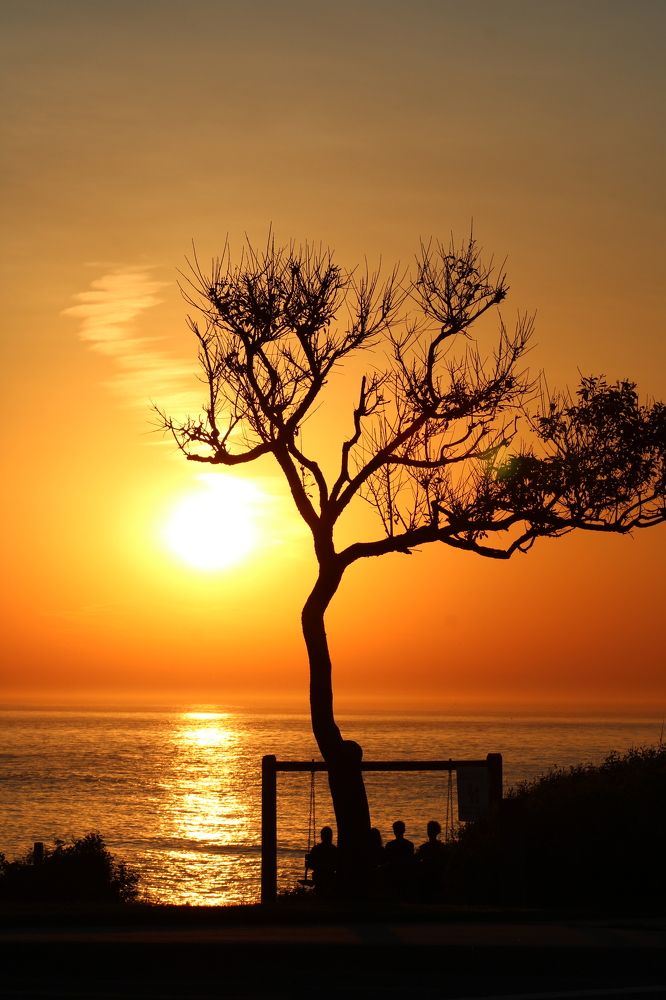 Photograph by Толкун Асаналы