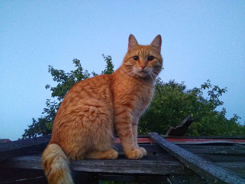 Photograph by Евгений Сергеев