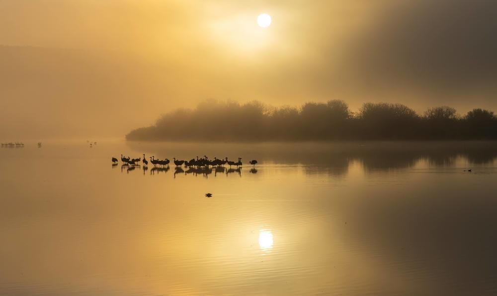 Photograph by Dany Natapov