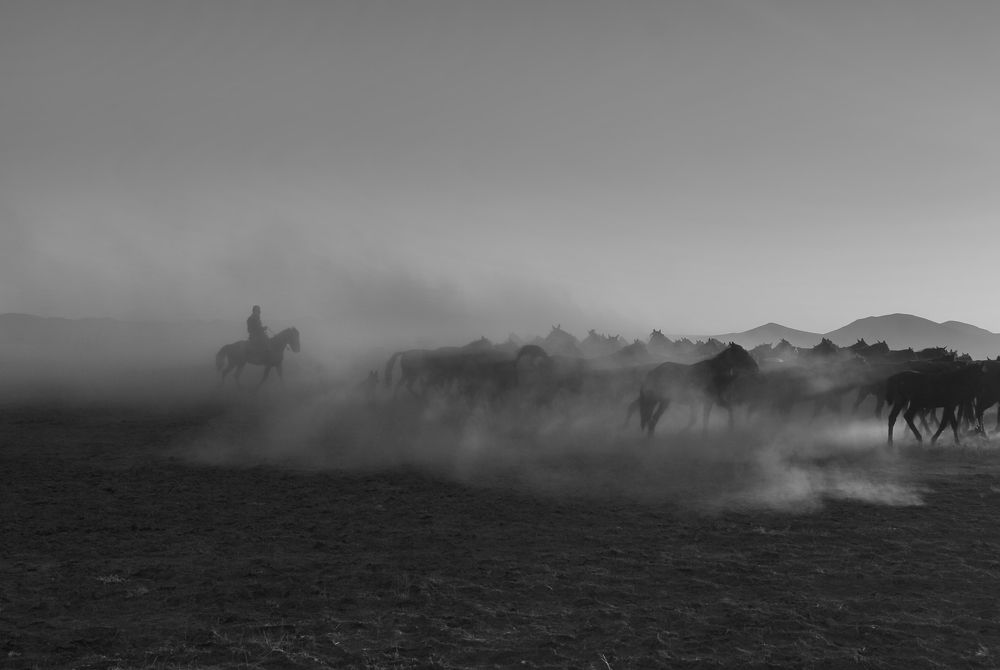 Photograph by Süleyman Ülker