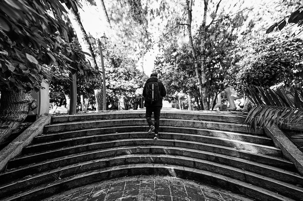 Photograph by Behnam Lohrasebi