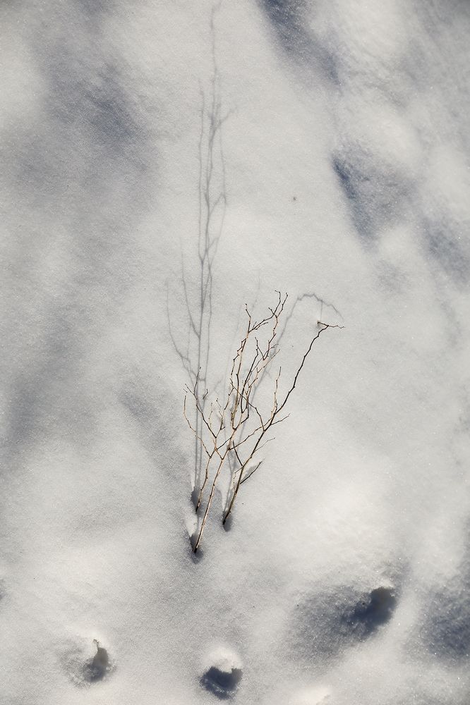 Photograph by Дмитрий Воробьёв