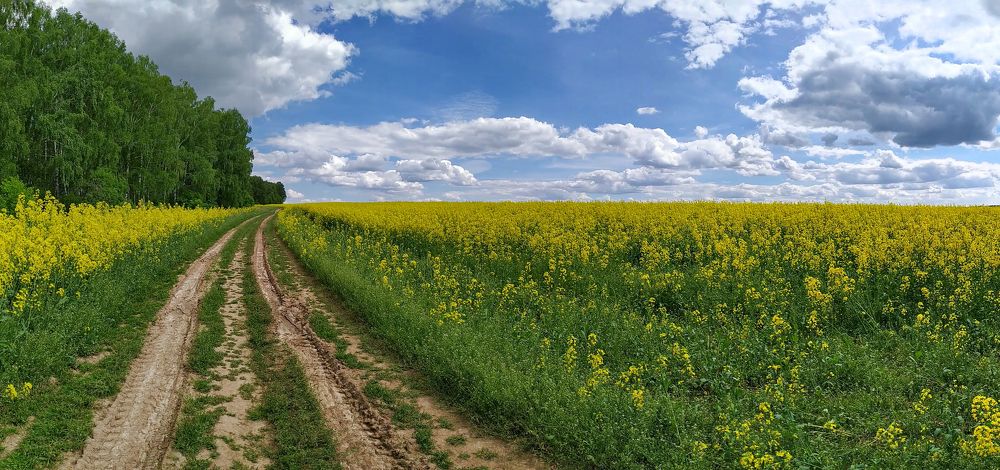 Photograph by Евгений Сергеев