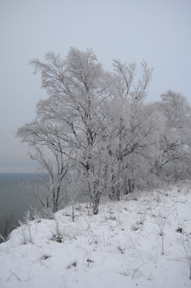 Photograph by Дмитрий Шарый