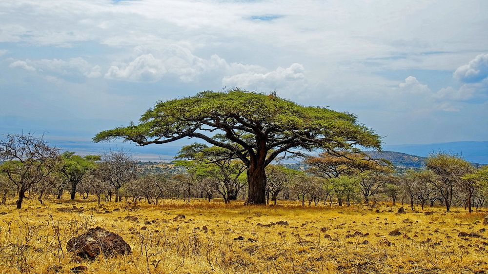 Photograph by Андрей Панин