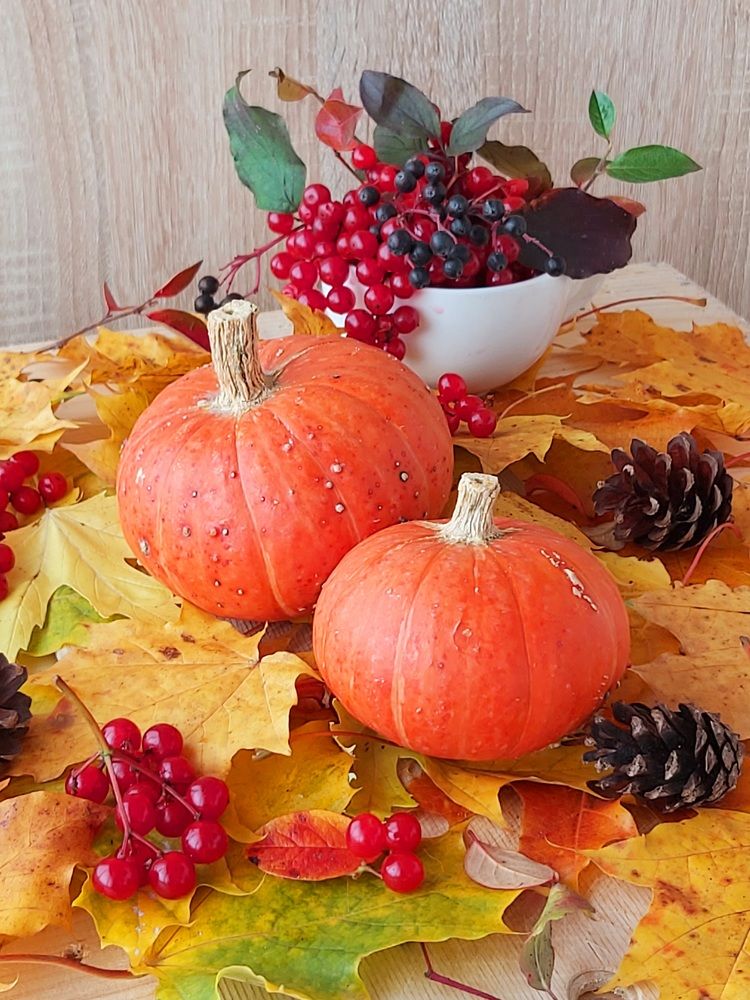 Photograph by Алена Ходатович