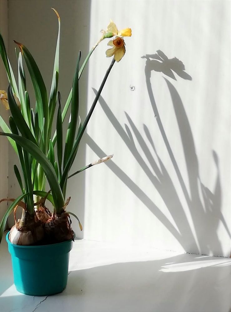 Photograph by Galina Novichkova