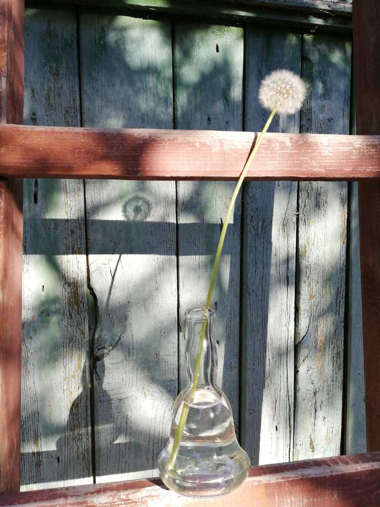 Photograph by Galina Novichkova