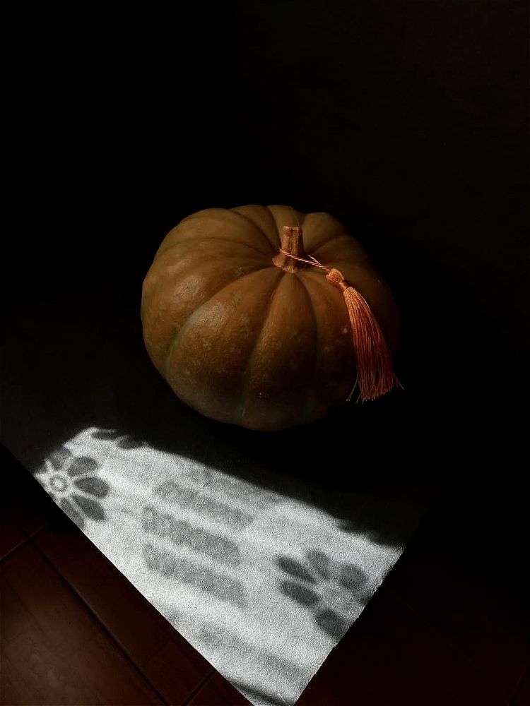 Photograph by Galina Novichkova