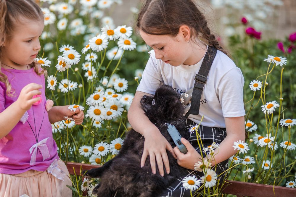 центр внимания