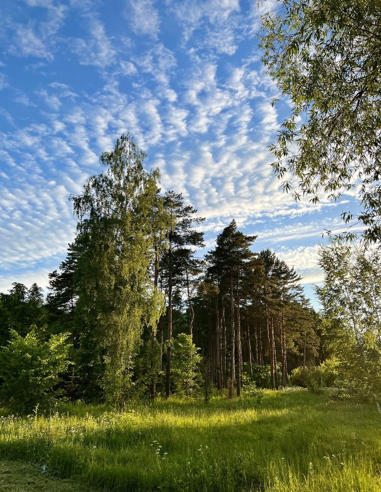 Photograph by Анна Лепихина