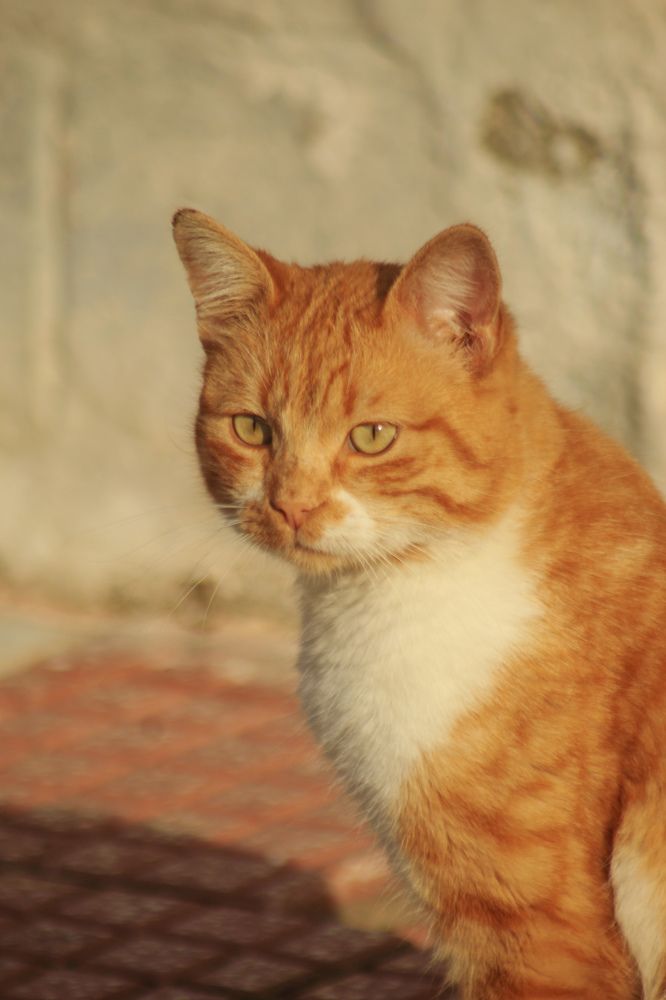 Photograph by Fotios Stamanikis