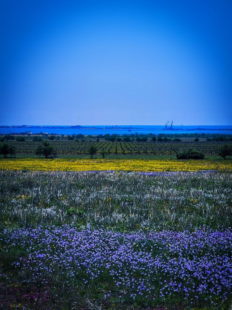 Photograph by Мария Цепилова