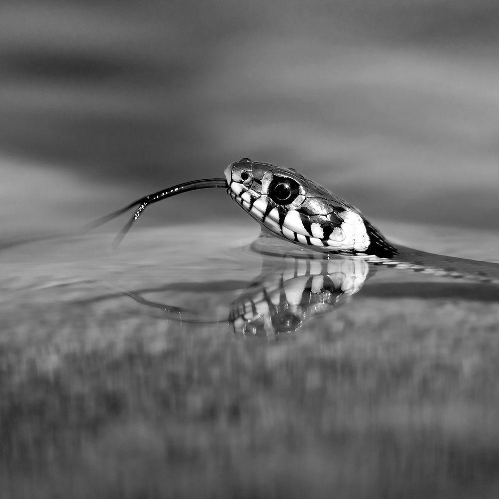 Photograph by Александр Абросимов