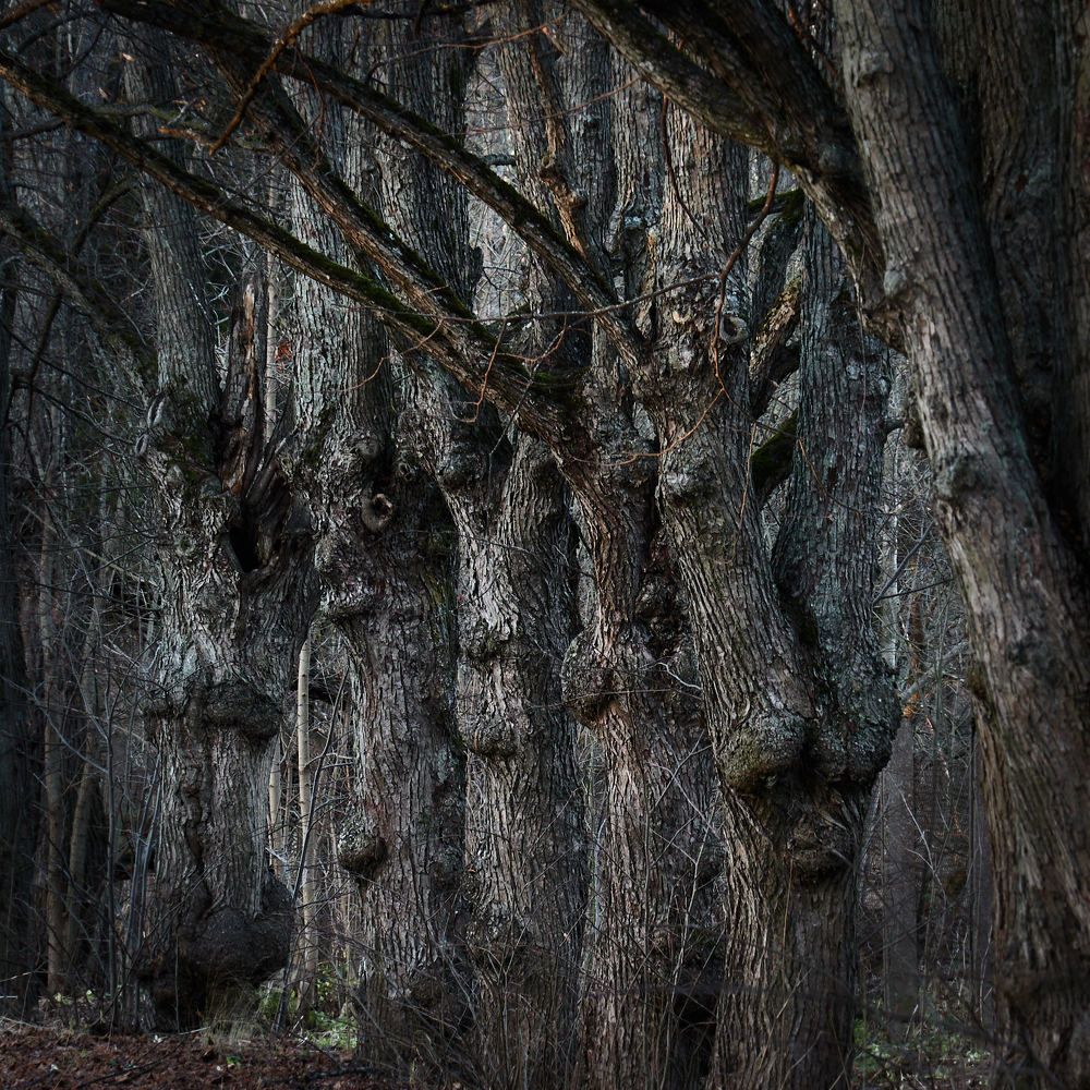 Photograph by Александр Авдушев