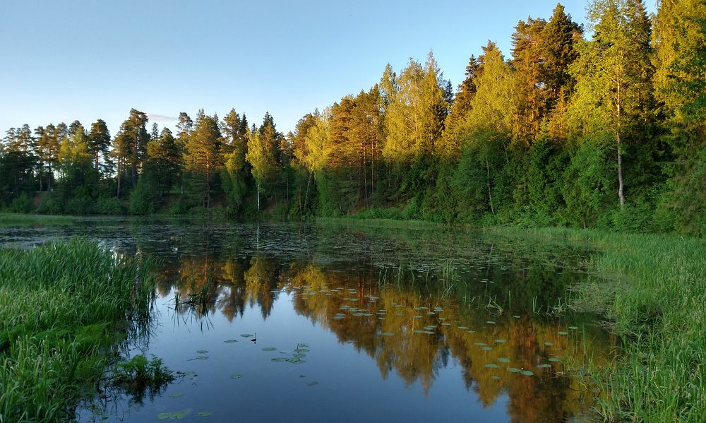 В жарком июне. In hot June