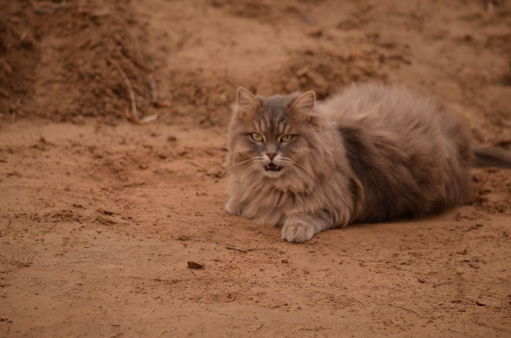 Photograph by Ольга Ковальчук