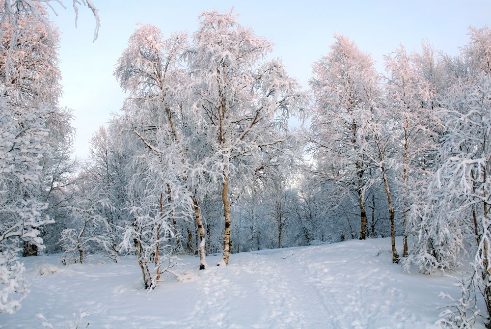 Photograph by Ирина Чечкина