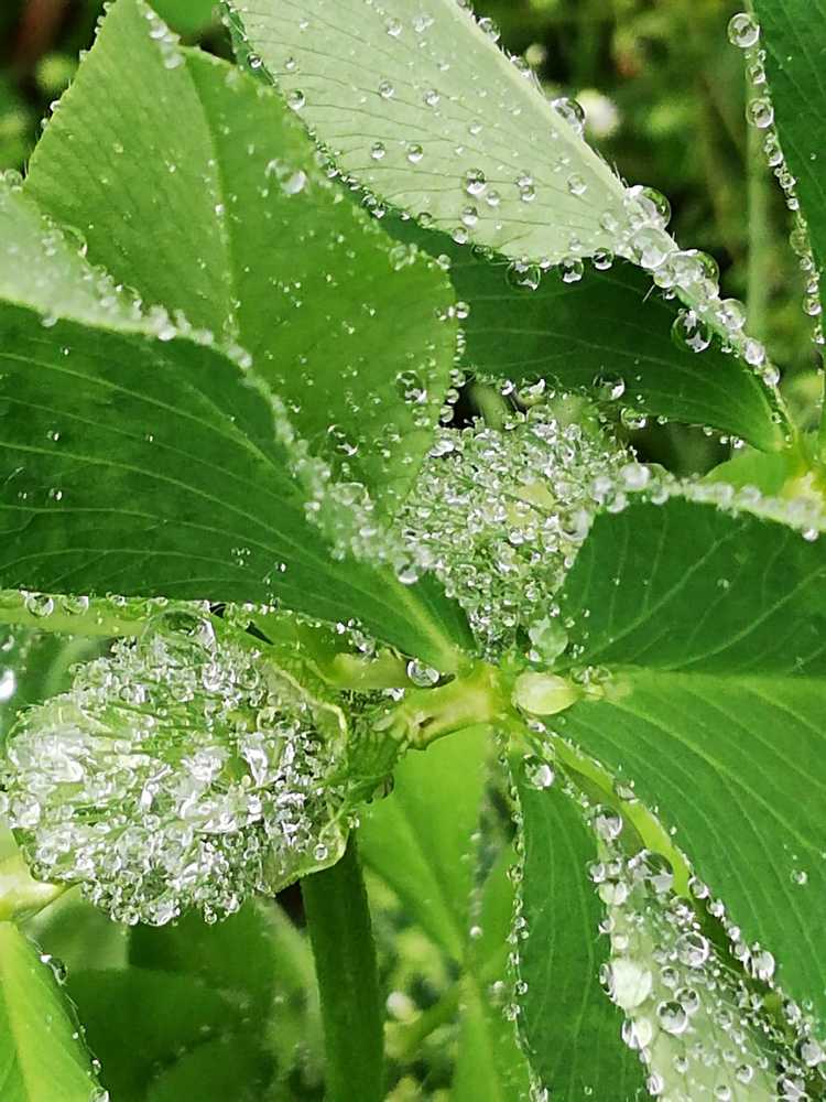 Photograph by Galina Novichkova