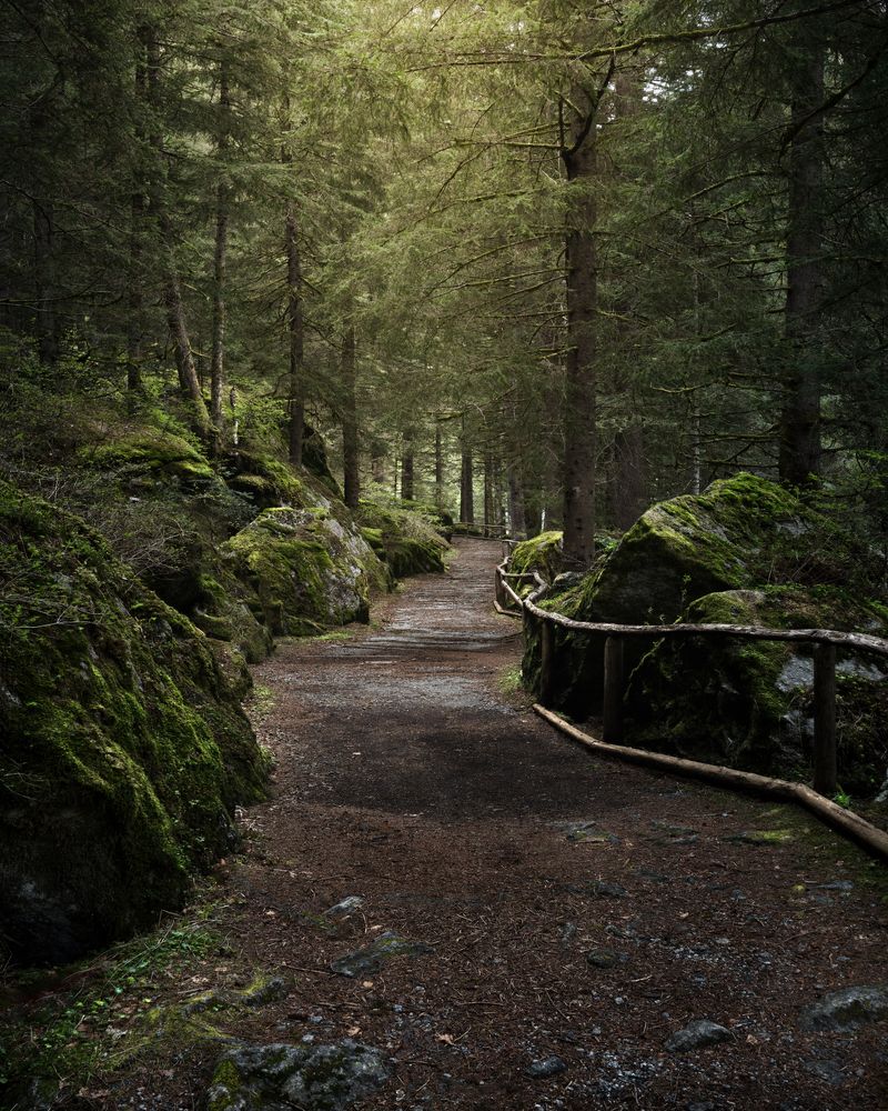 Photograph by Gabriele Corbellini