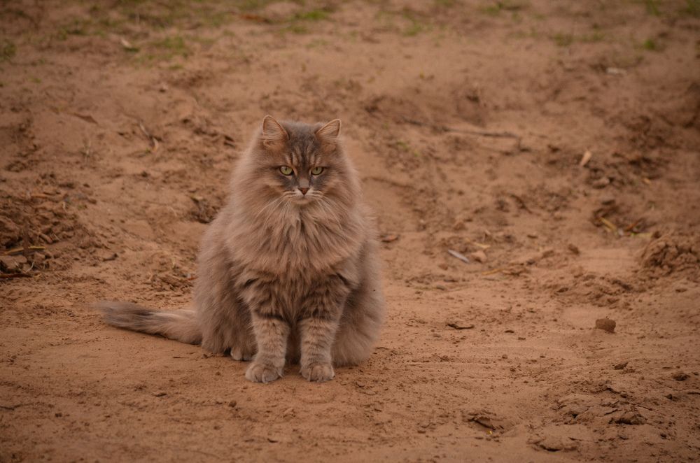 Photograph by Ольга Ковальчук