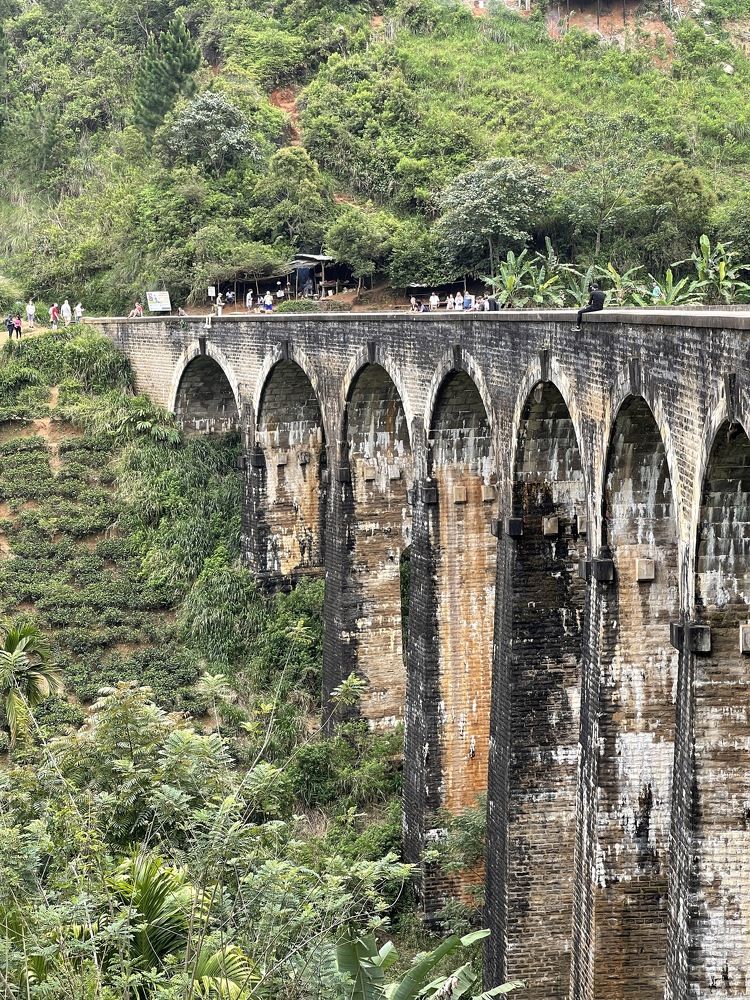 Photograph by Ольга Тимофеева